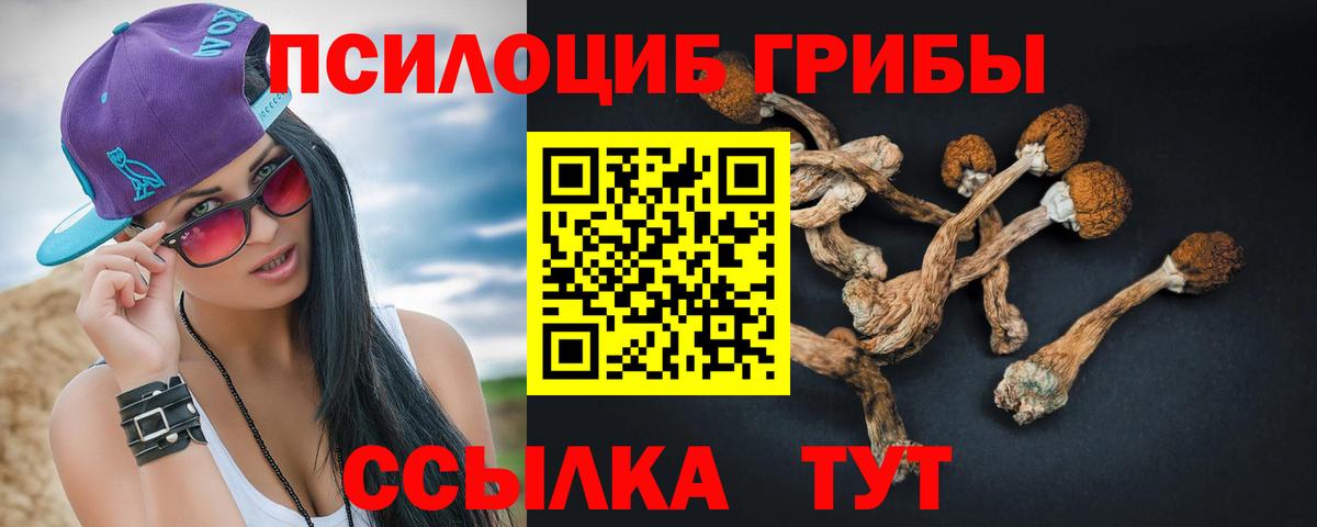 Псилоцибиновые грибы GOLDEN TEACHER Михайловка